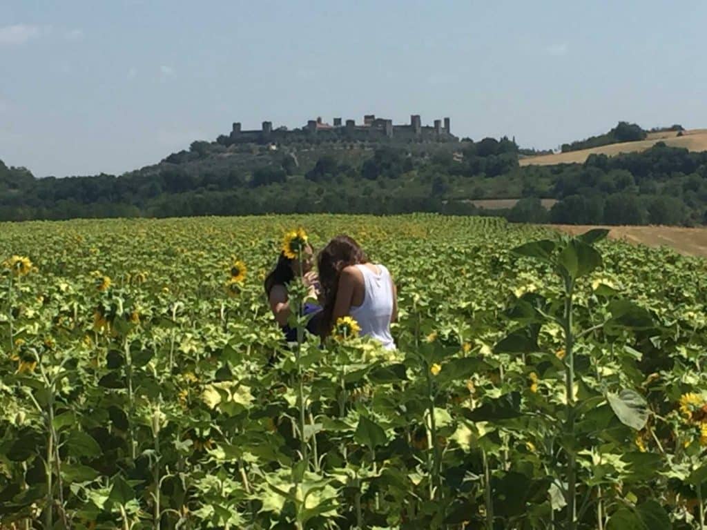 One Day Bike Tour & Sunflowers - Bike Florence&Tuscany