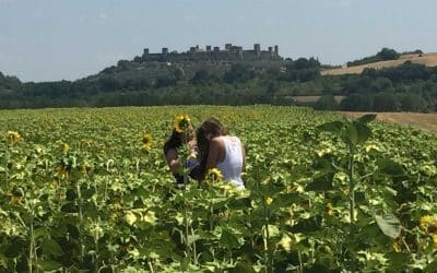Florence to Siena Bike Tour: Discover Hidden Gems of Tuscany in One Day
