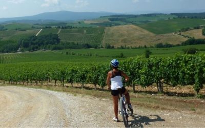 Bike tour in Chianti: savour the origin of Tuscan Wine
