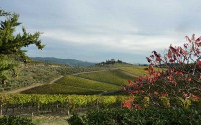 Fall in Tuscany by bike – Biking tours Italy