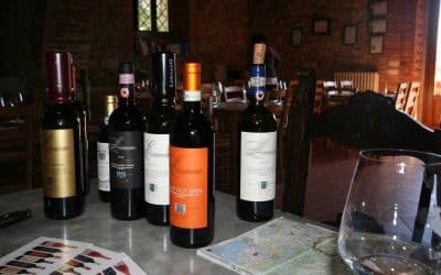 Wine Tasting in Tuscany & your biking adventure!