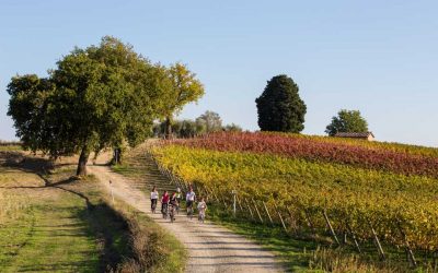 10 Essential FAQs – Tuscany bike tours – Biking tours