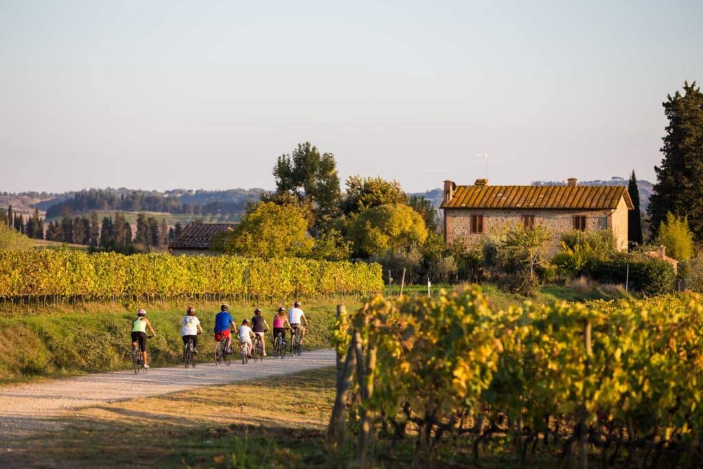 Family Biking Tour thru the vineyards: Bike Florence & Tuscany