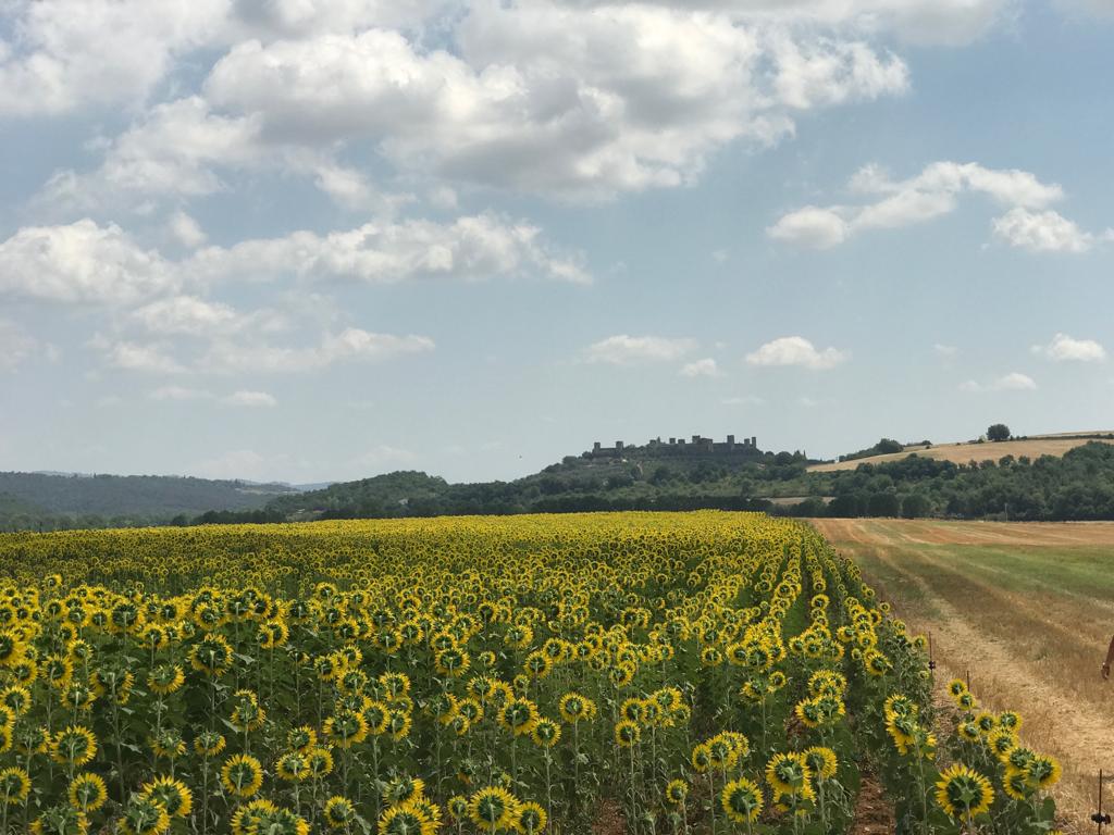 Monteriggioni