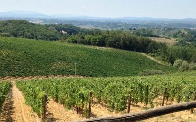 San Gimignano hilltop town in Tuscany made easy by bike!