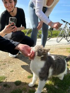 Tuscany bike tours