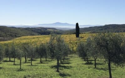 A bike tour Tuscany: A Two-Wheeled Adventure