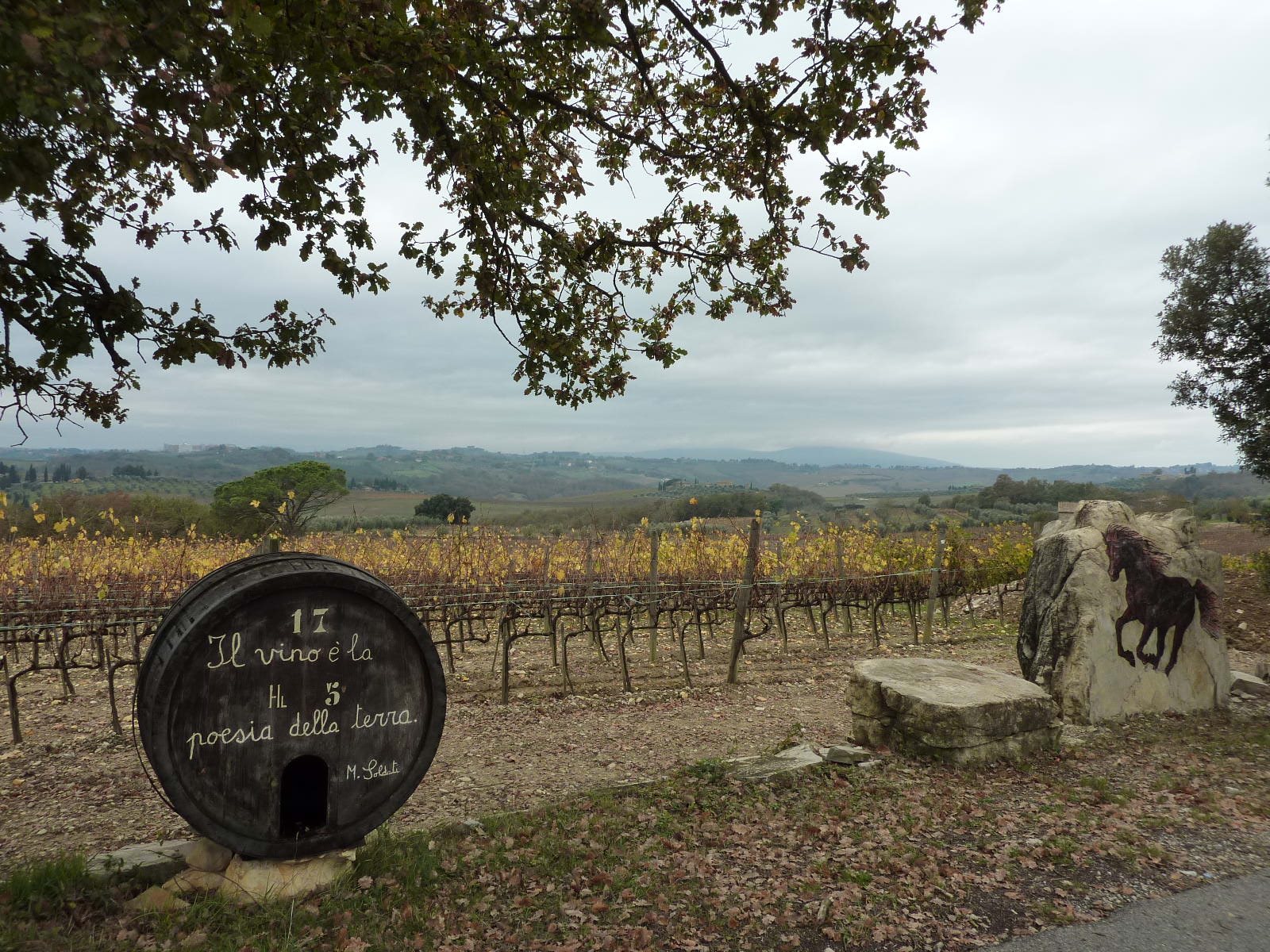 wine tasting in tuscany